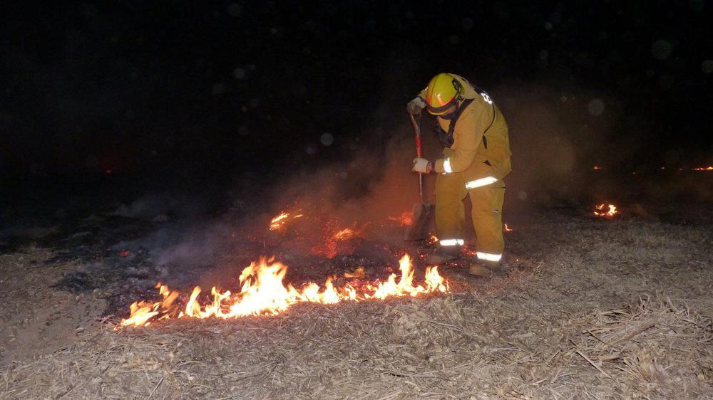 P1050490 (FILEminimizer)