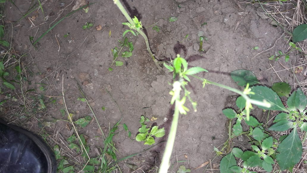 21420384-3d19-42eb-ab9a-d1f6eab1c9e1