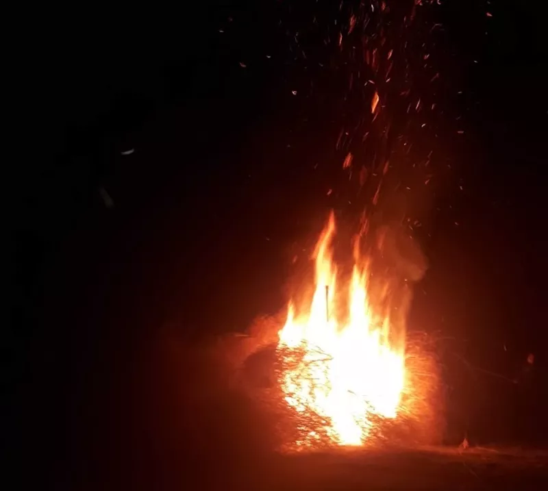 7c09ea4f-b21c-45cb-b84d-a9e33de54693