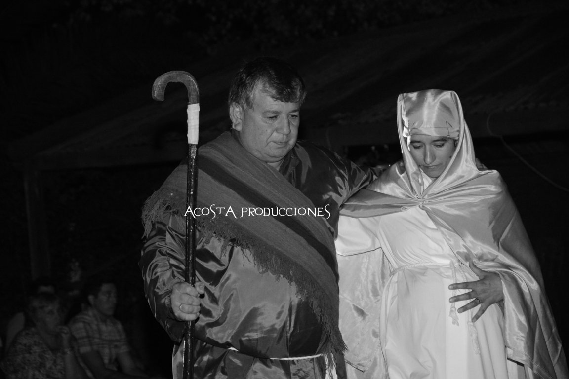 DSC_3497 (FILEminimizer)