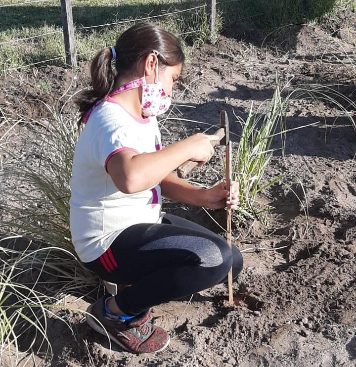 f1b3b938-1d35-43fa-b55b-1c8f68244494