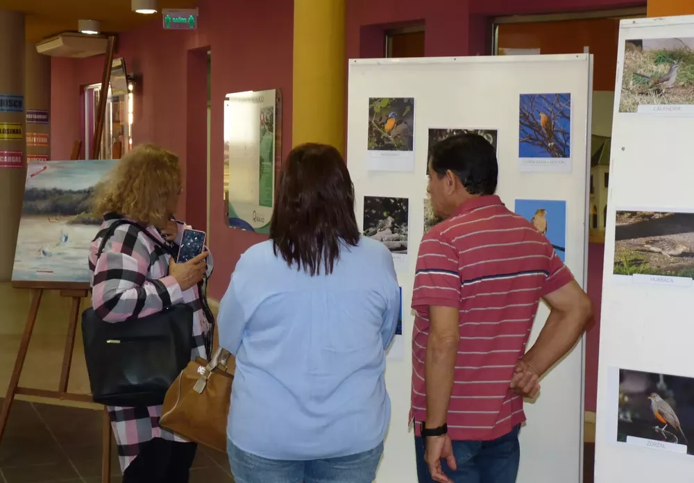 turismo 15 (FILEminimizer)