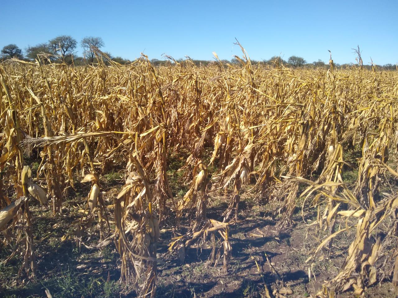 f9198550-83e9-46a5-9161-42a065eeaf3c