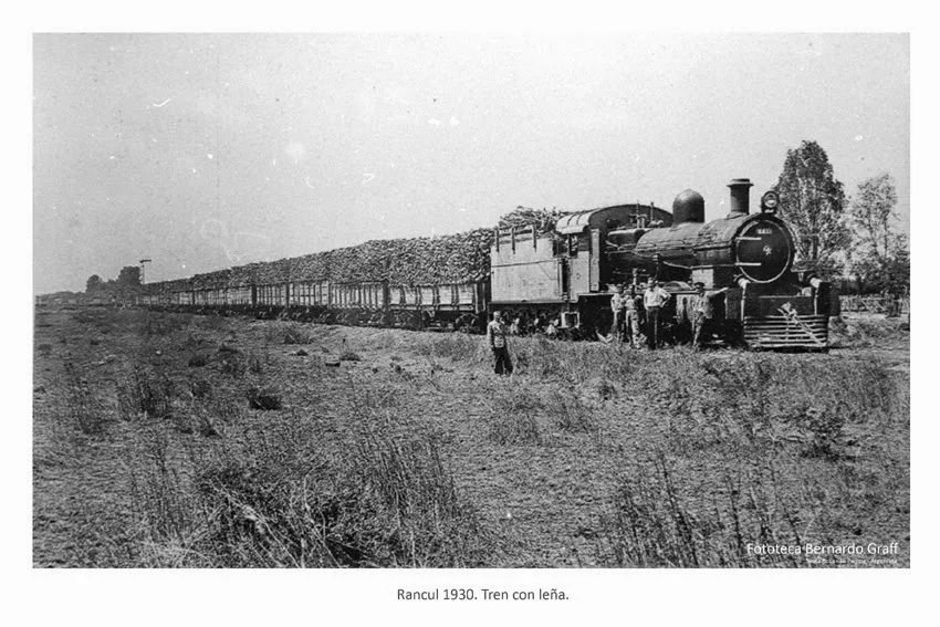 muestra_ferrocarril_en_la_pampa_rancul