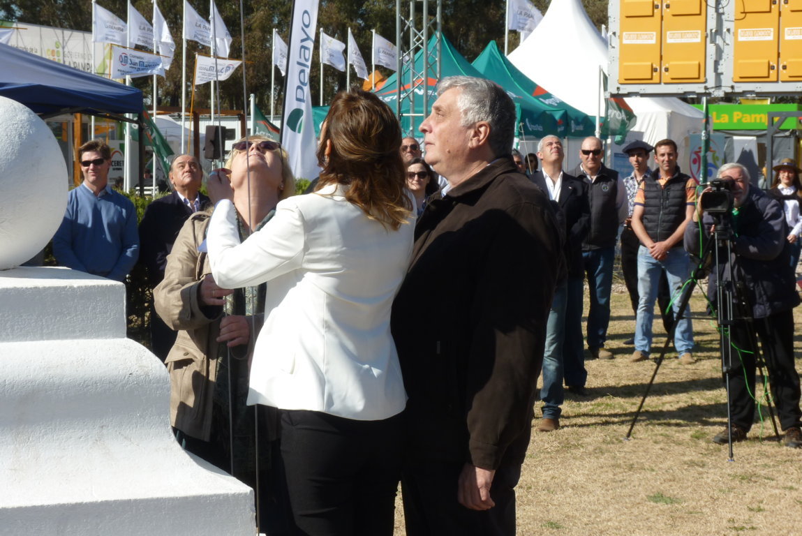 P1410710 (FILEminimizer)