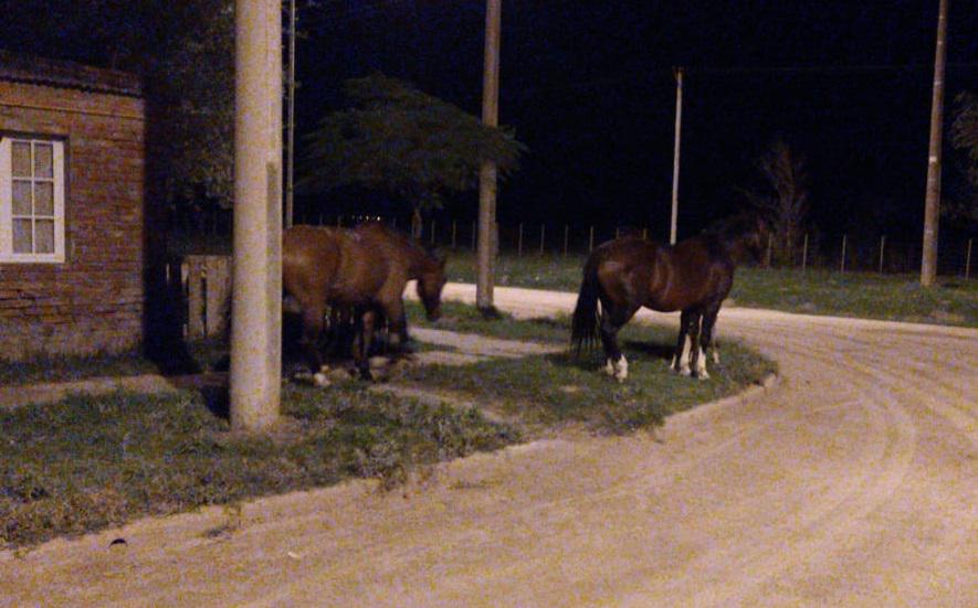 a4acbe8e-3efc-43e5-abd3-498728c741d9