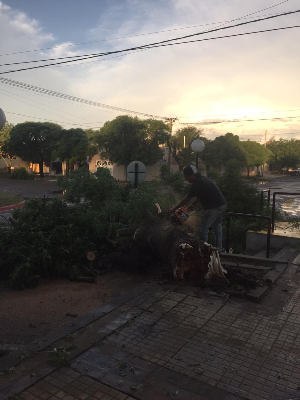 c0656fb4-5895-4580-93e3-f914c01ce2c2