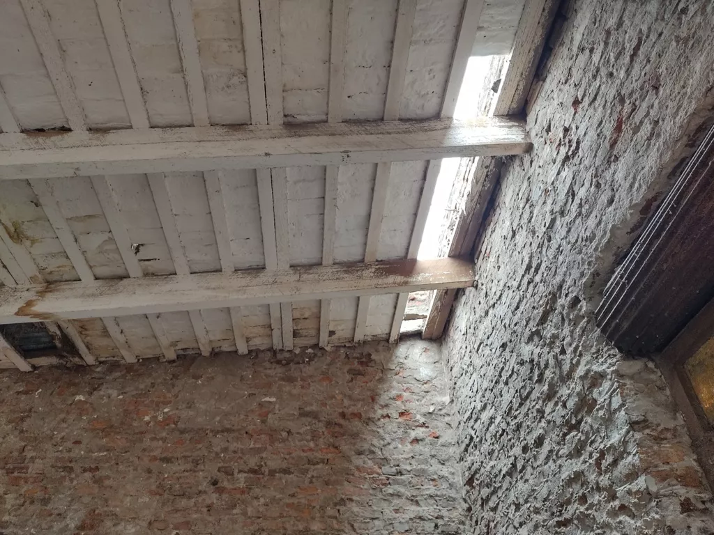 IMG_20210708_112622377_HDR (FILEminimizer)