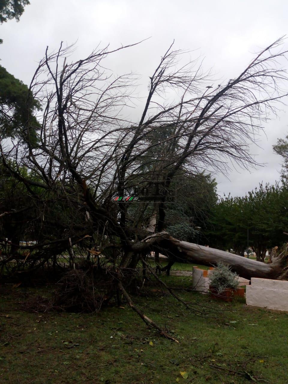 a1ab8bd5-5f80-4981-8105-a17c988f4edc