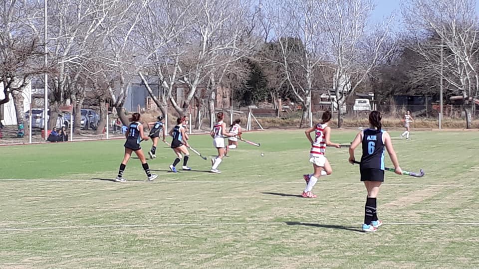 69887773_2656166997728289_57944056625364992_n