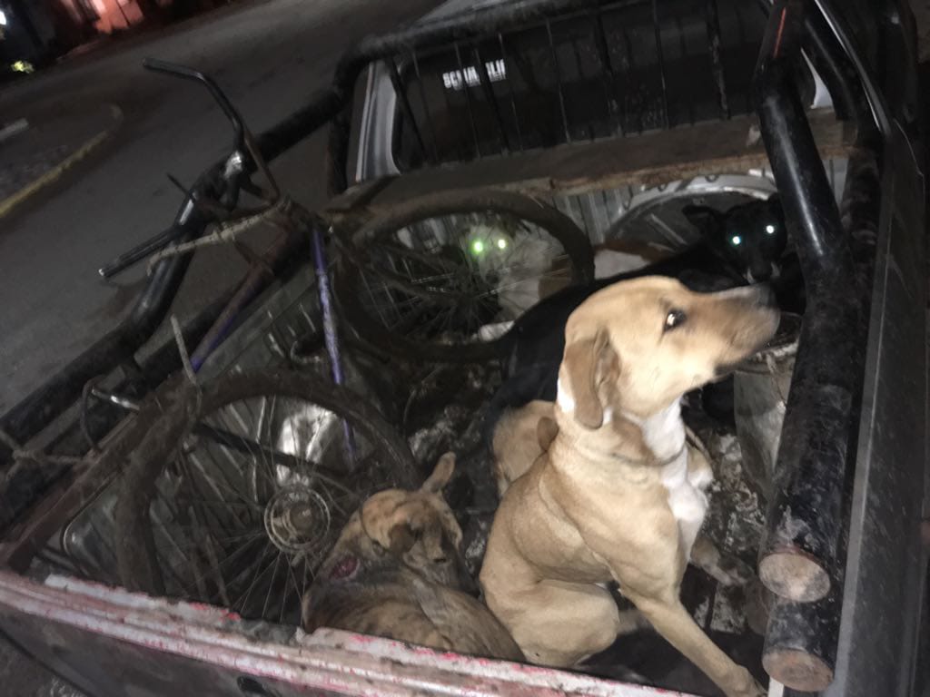 8c4592be-ec11-4edd-a68b-323c67769f96