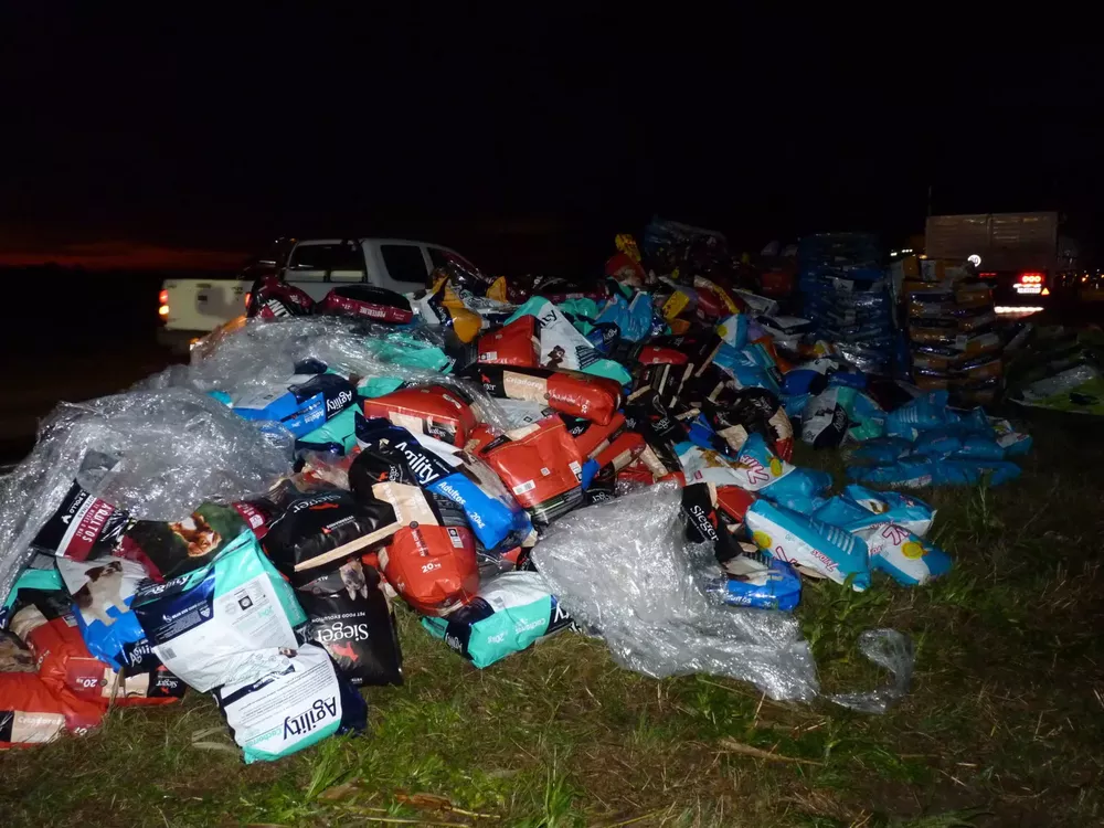 P1170661 (FILEminimizer)