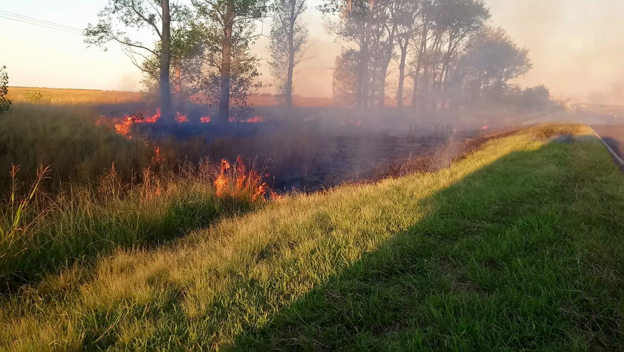 1f45f1e2-457e-4635-973f-2a3cfb28c158