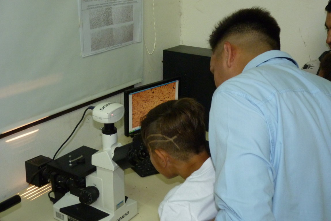 P1440346 (FILEminimizer)