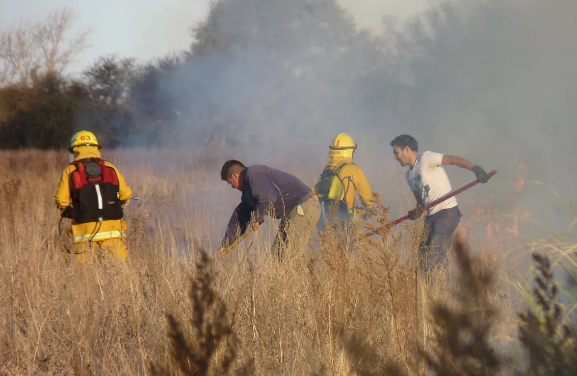 incendio caldenia 1 (FILEminimizer)