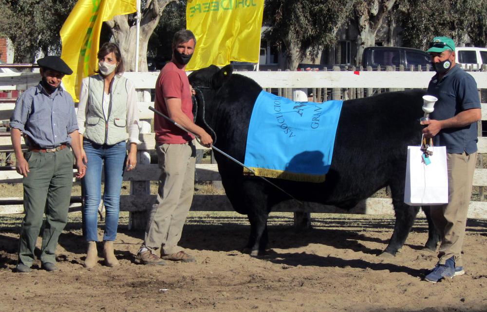 TORO GANADOR EXPO 2020 JOSE MARIA GONZALEZ 2