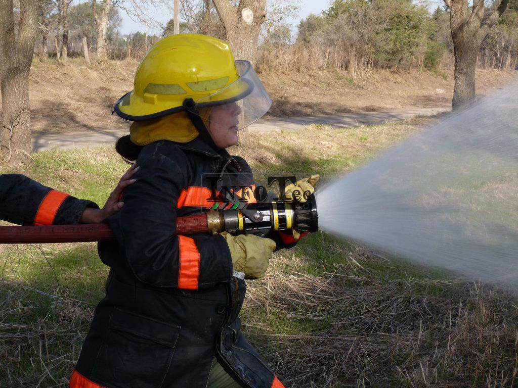 P1210577 (FILEminimizer)