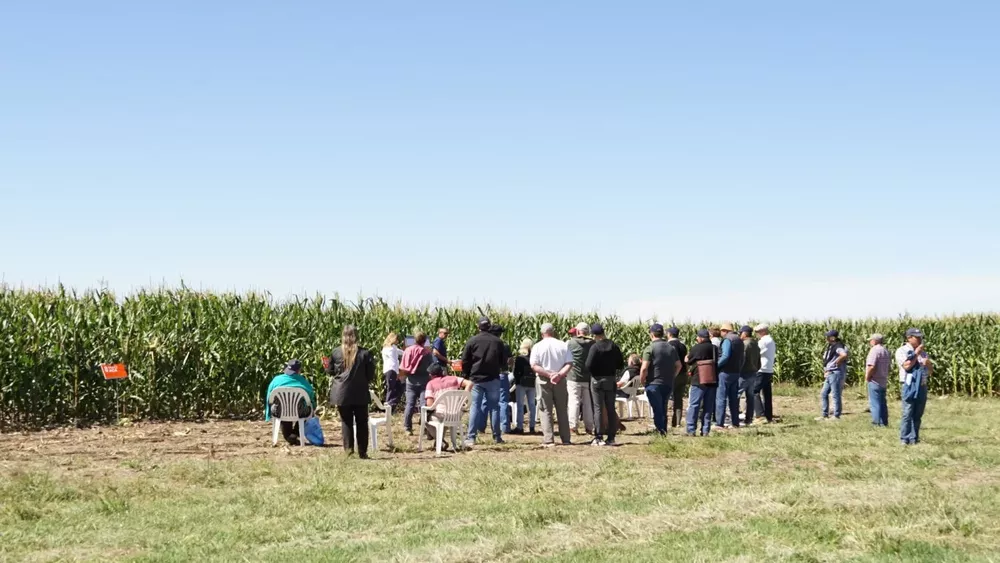 2501120_-000017- (FILEminimizer)