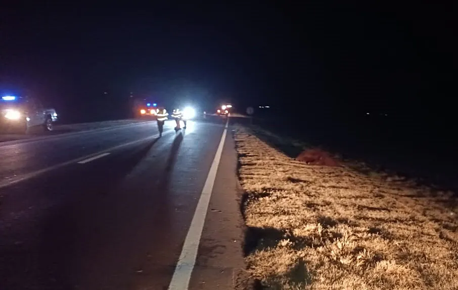 fb6a1e5d-21e6-4e83-8248-24cf534a2dea