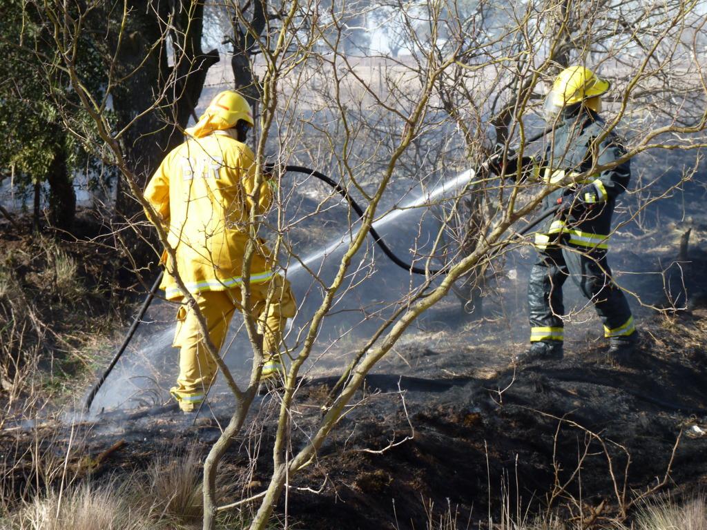 P1050816 (FILEminimizer)