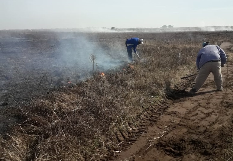 d3f062f8-34af-433c-af75-18e2d97592ea