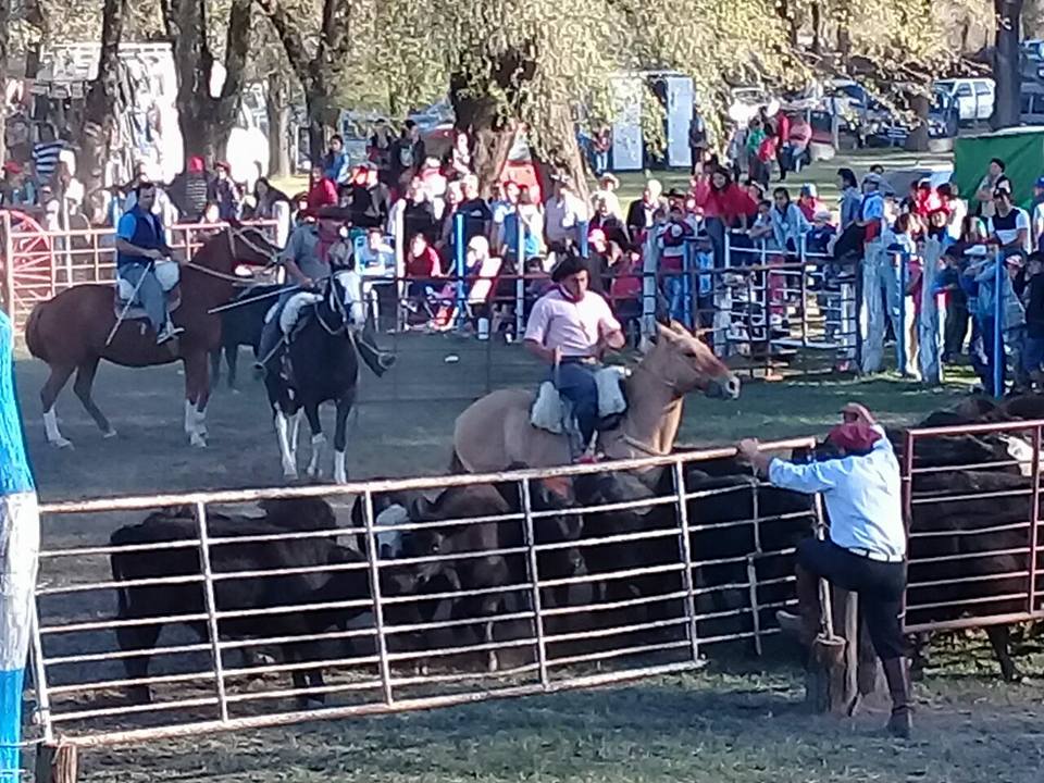 FIESTA CRIOLLA 14