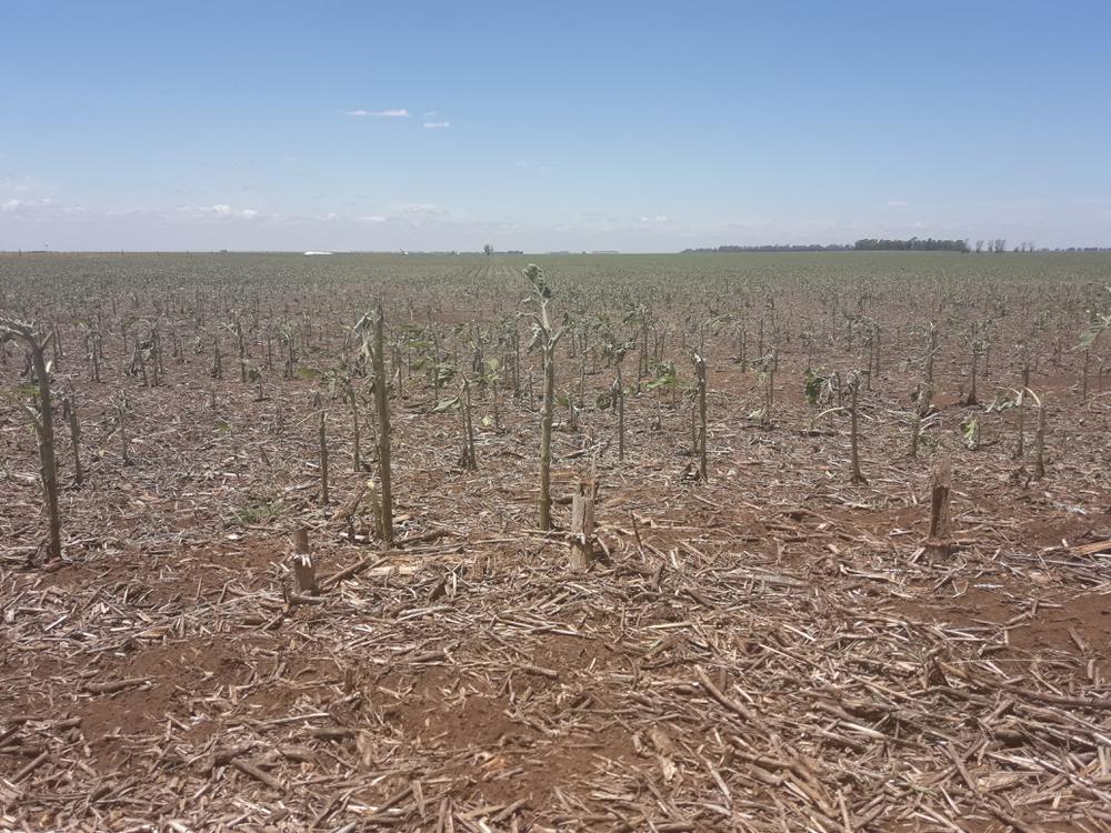 IMAGENES DE LOS DESATRES DE TORMENTA 023