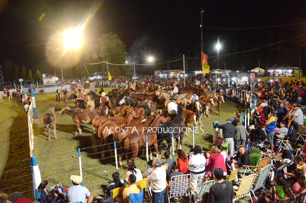 Fiesta del Hachero 3