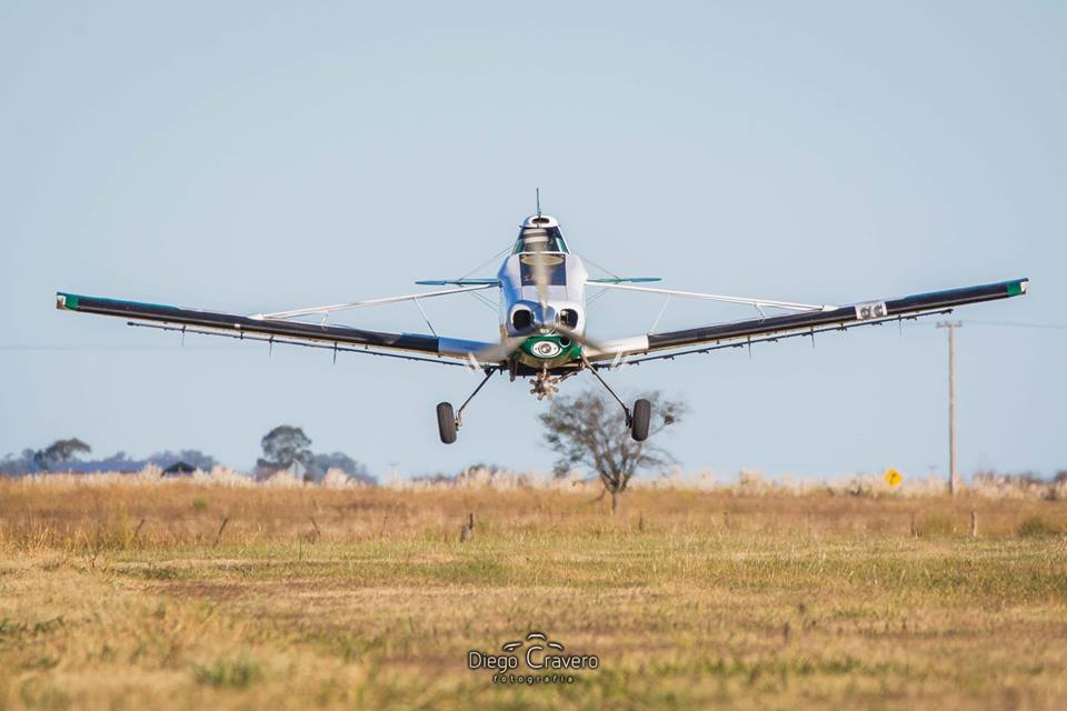 29597483_10214546273763068_842463814418633328_n