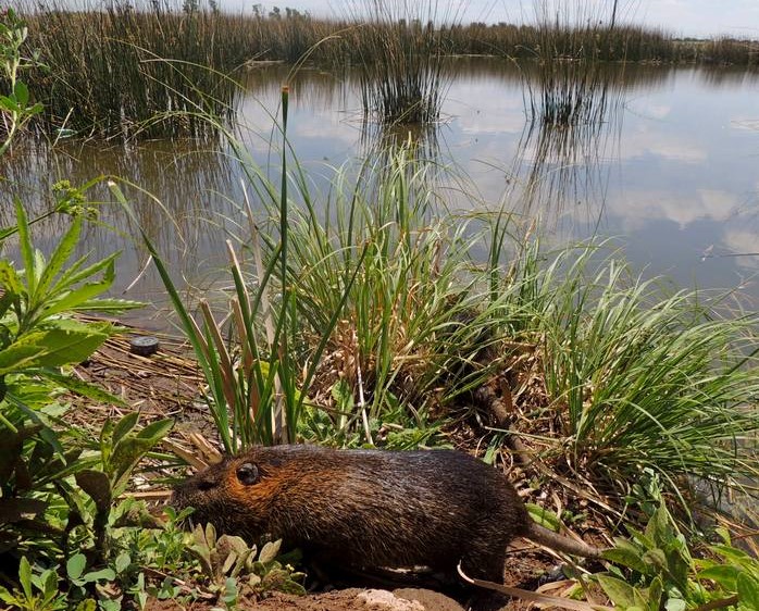 nutrialiberacion2019-1