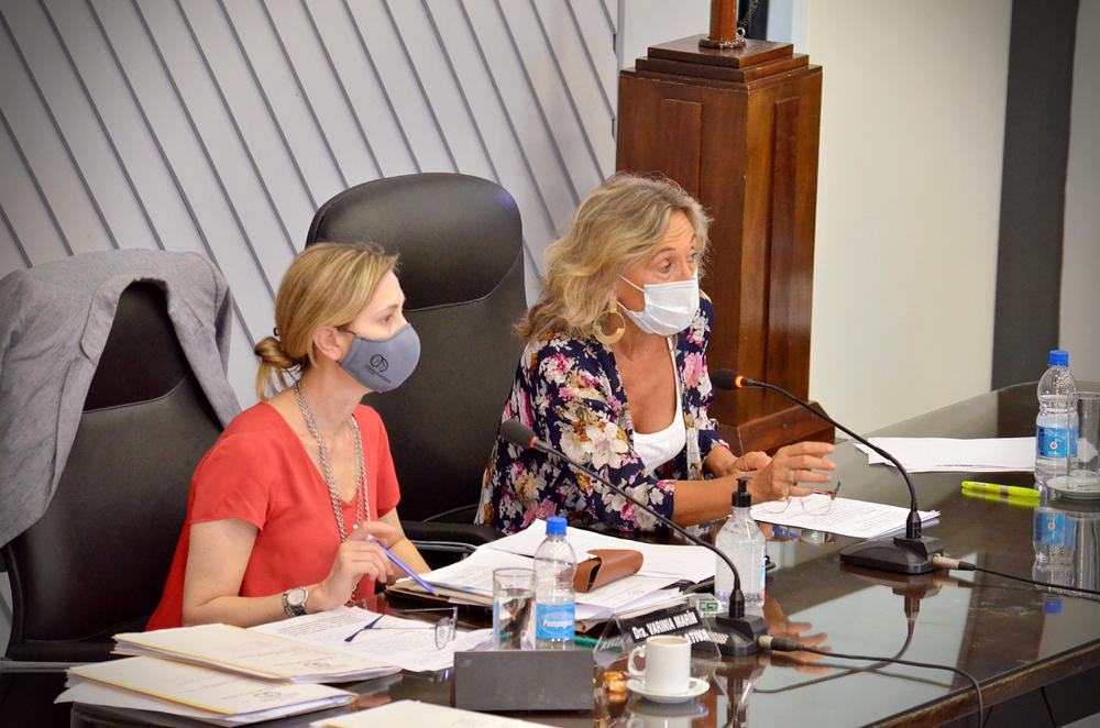 CAMARA DE DIPUTADOS MAYORAL PRESIDENTE