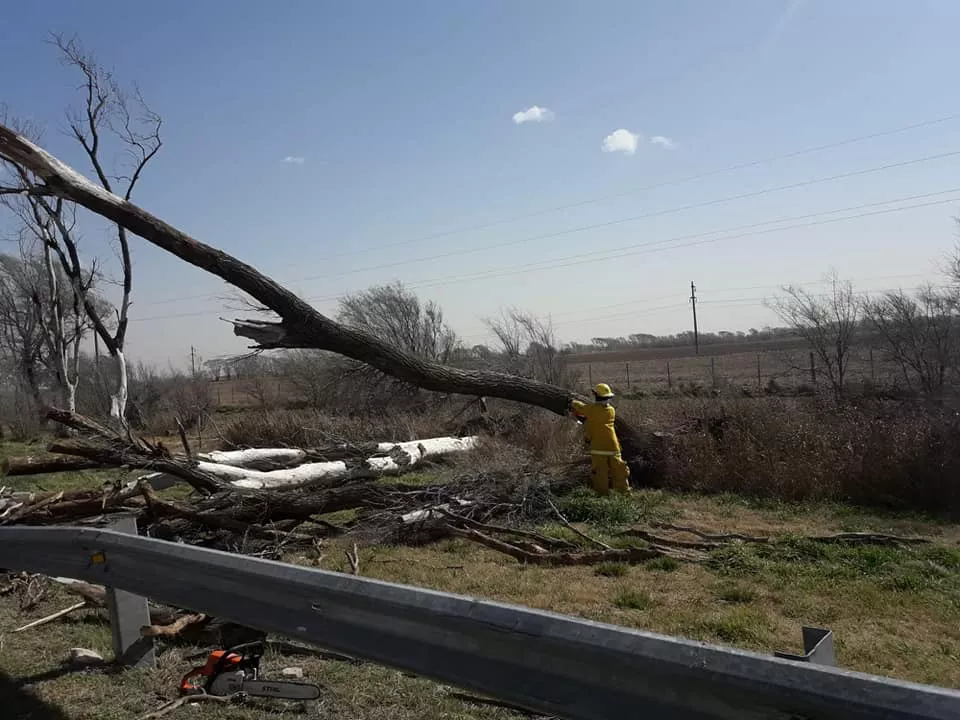 238757295_4565971856747784_300610820245310287_n