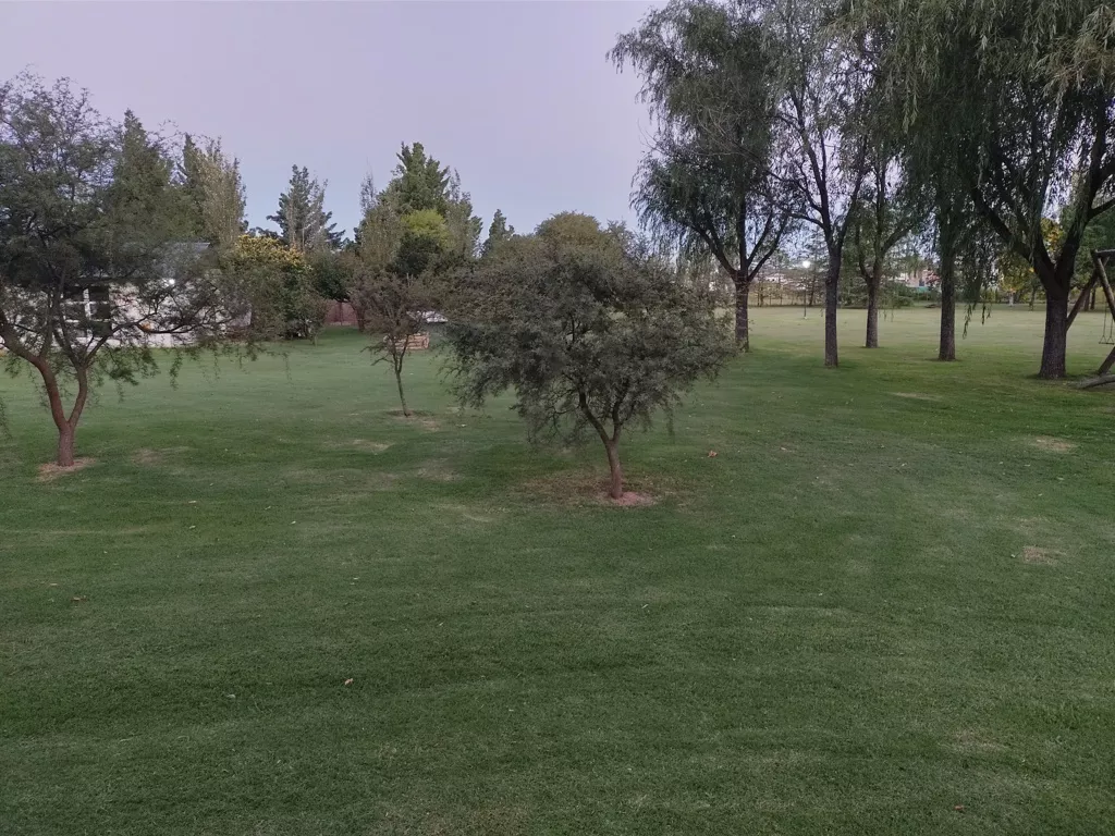 IMG_20220307_195903661_HDR (FILEminimizer)