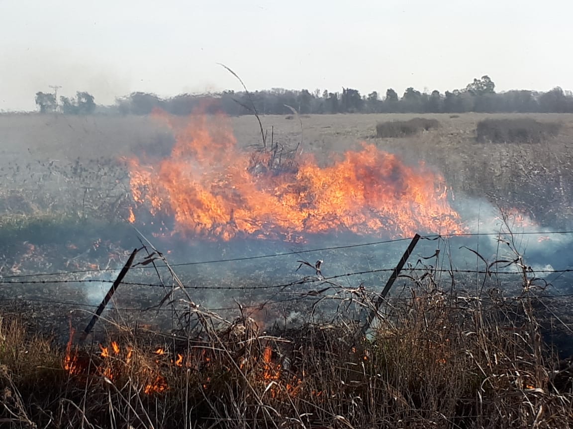 6795cfdf-b556-46bd-8ec2-2c9d4e22d3f8