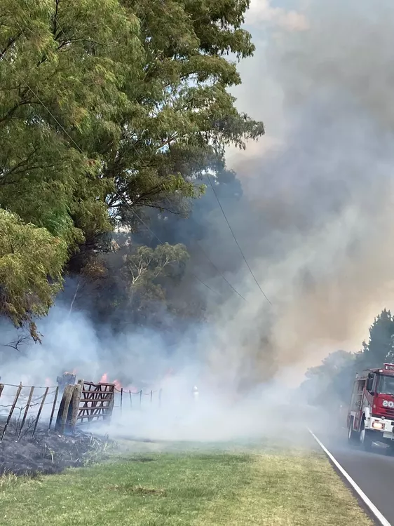 8192cee0-cd34-4b13-bbc1-2558919113ab