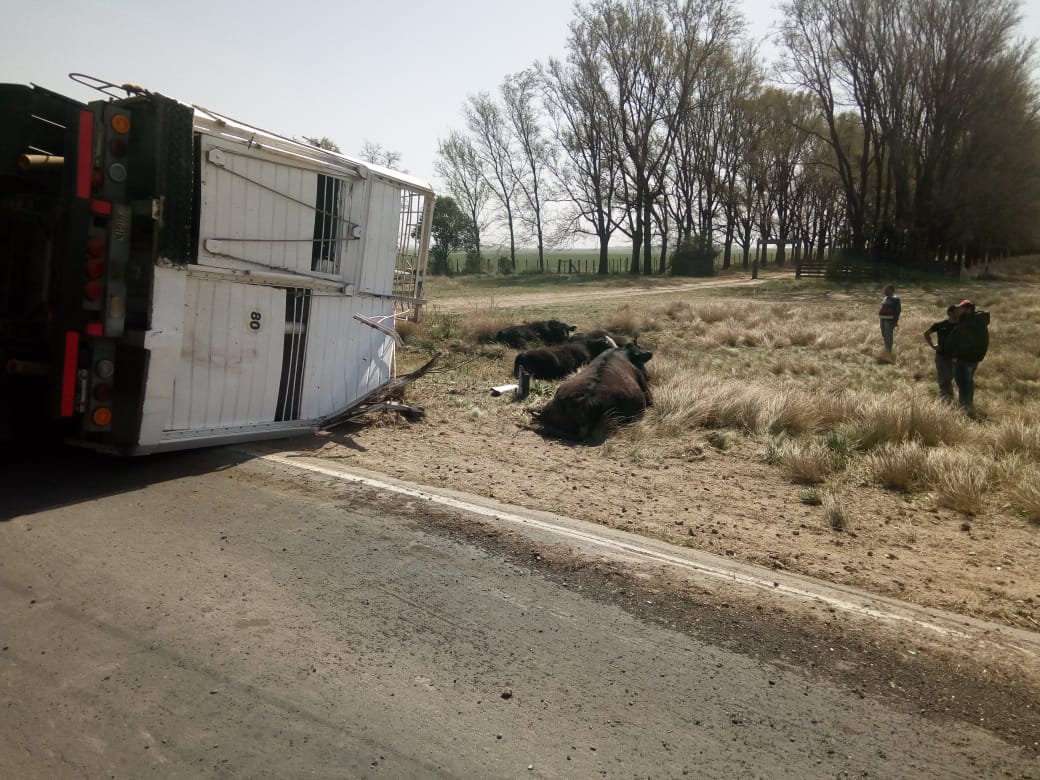 3a5adcfe-ca13-4889-a70c-e62f036e2f88