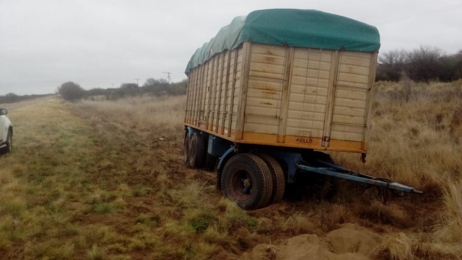 multimedia.normal.8b0c06da807182e4.63616d6d74656c656e76765f6e6f726d616c2e6a7067