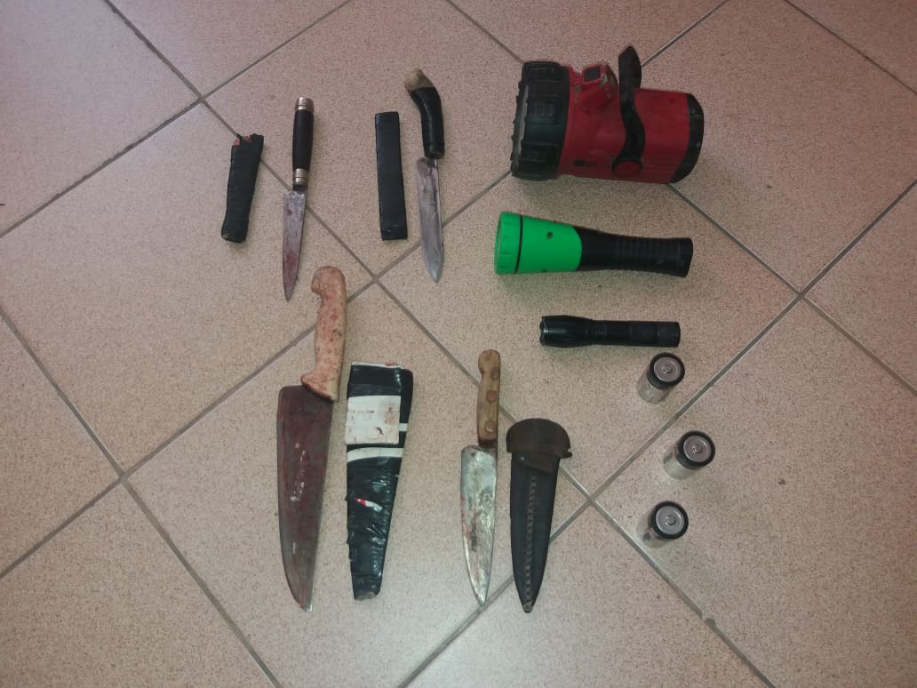 0eac9692-1001-4e3a-b524-7e52505db6a5