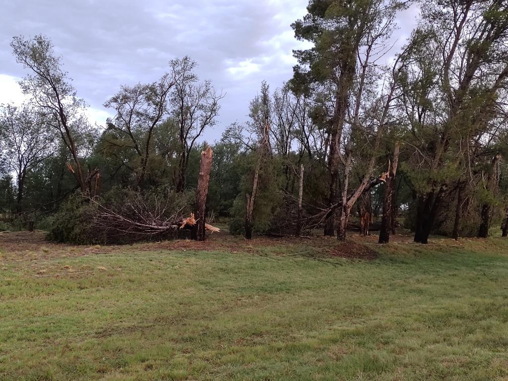 IMG_20201224_194104169 (FILEminimizer)