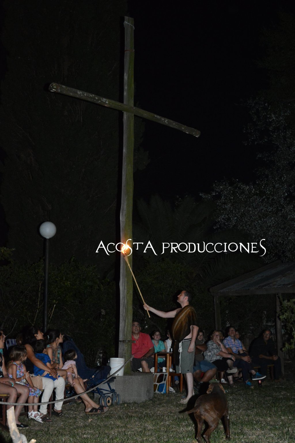 DSC_3458 (FILEminimizer)