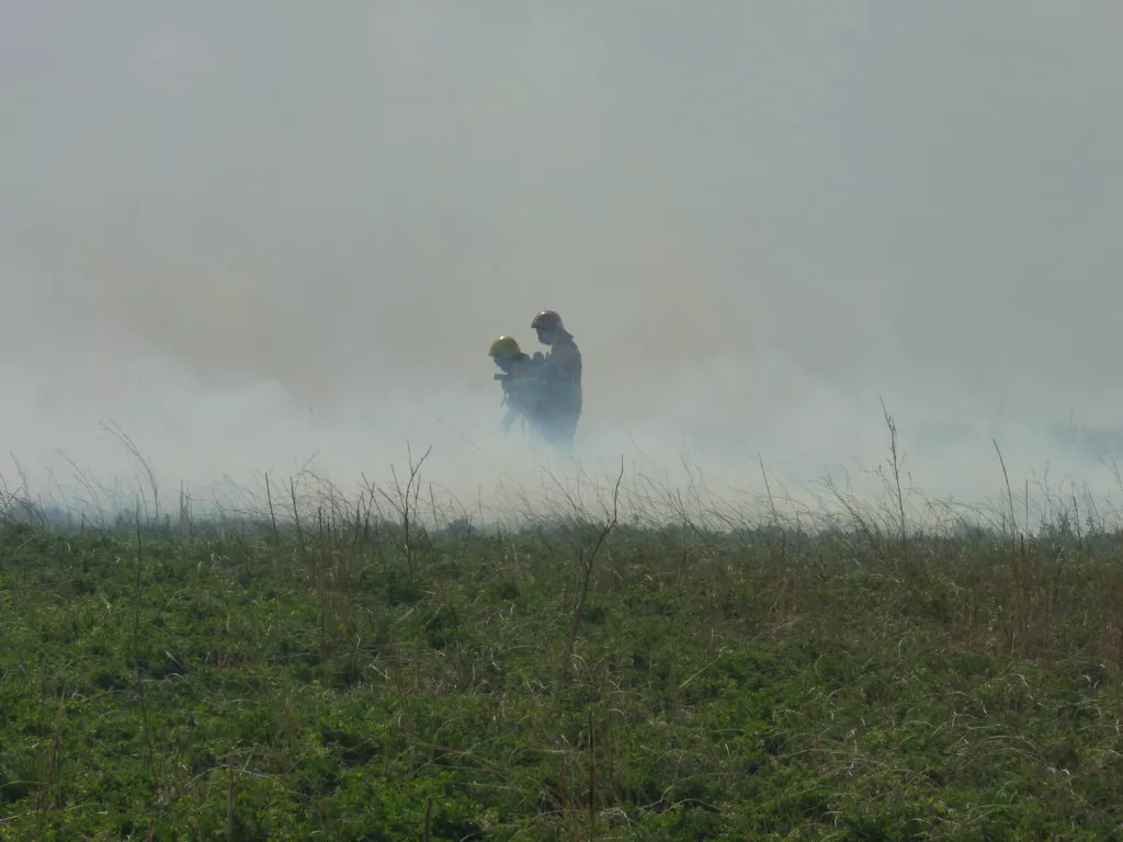 P1160826 (FILEminimizer)