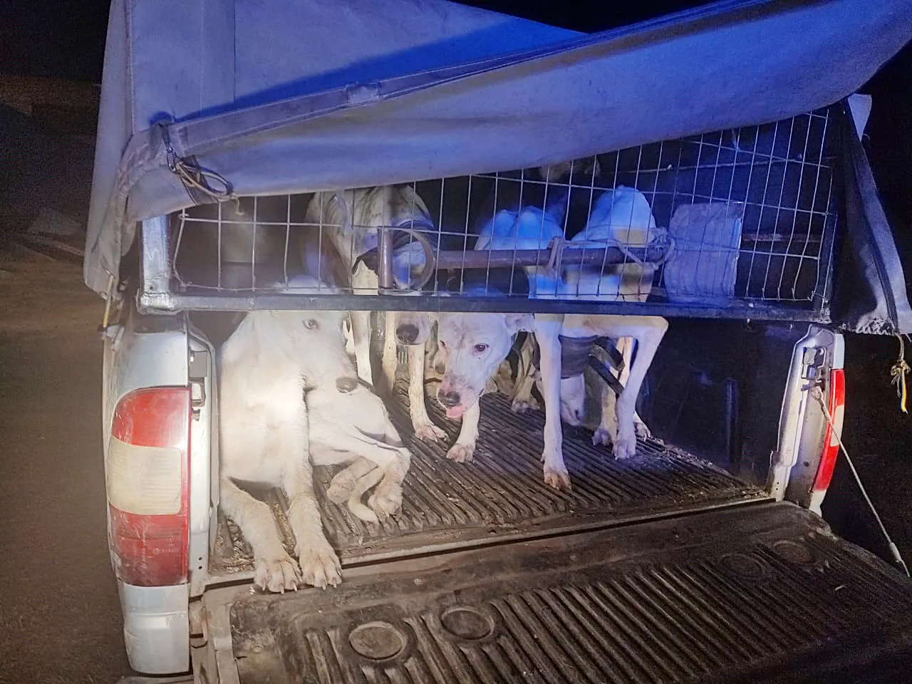 634b74fc-0adc-45dd-81b5-0a12fb6a849c