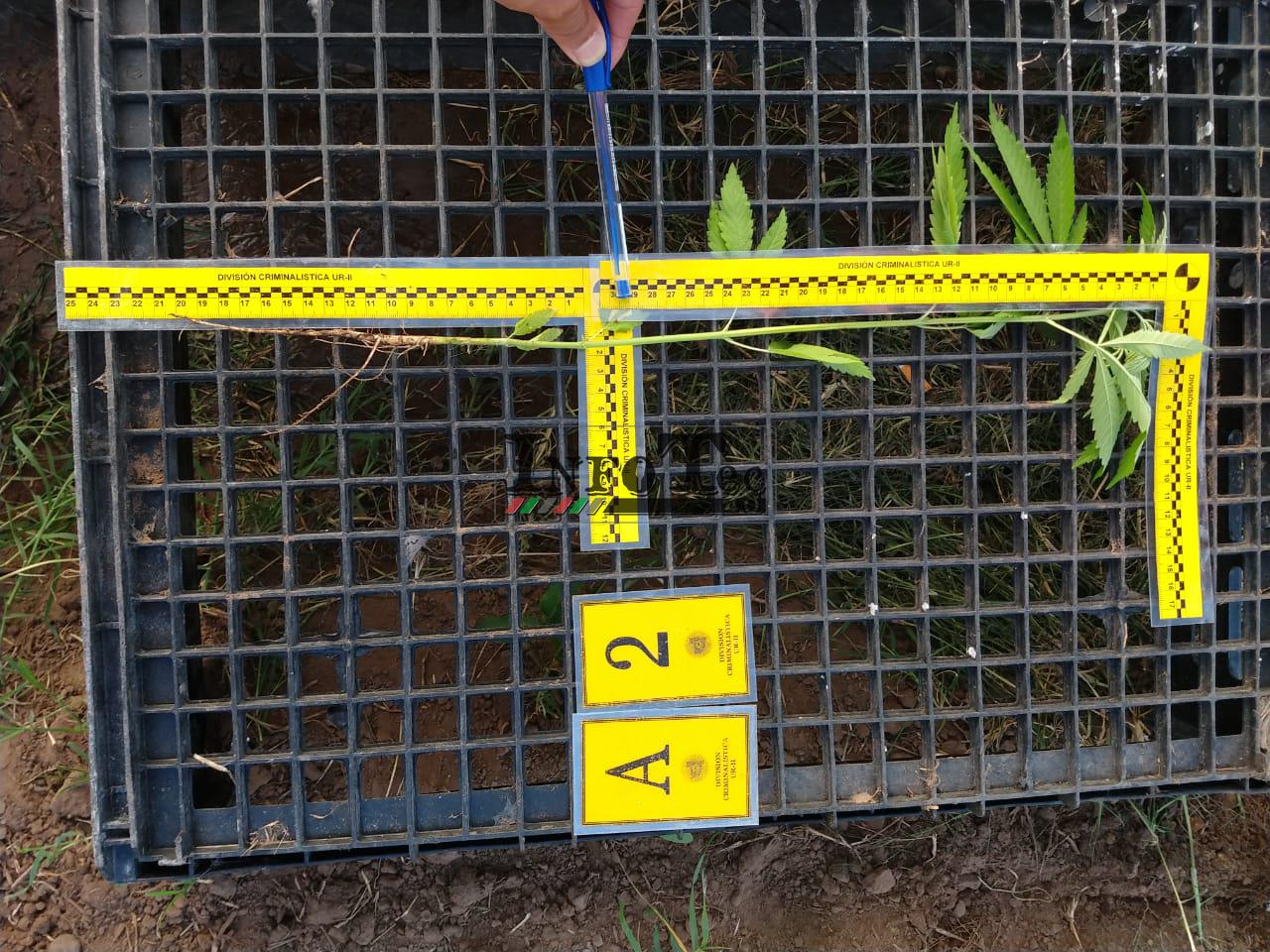 4a9001b9-923c-4dec-9b49-621fb6e46beb