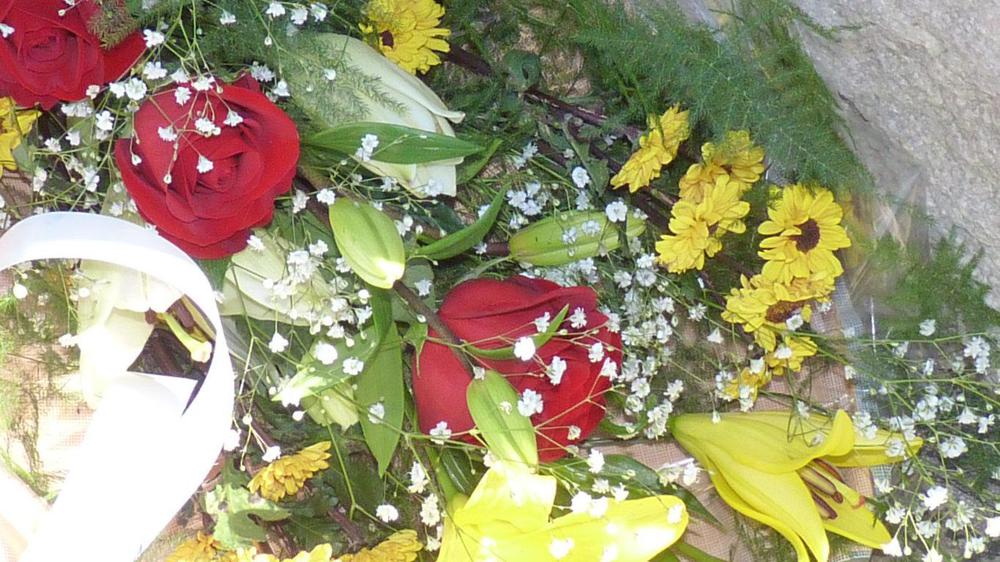 P1050857 (FILEminimizer)