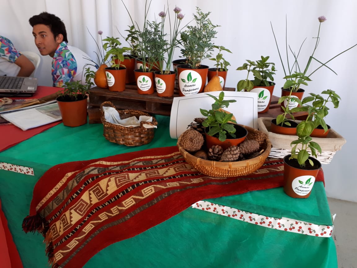 59636bc9-28ec-4dd7-9538-cd78a2f15095