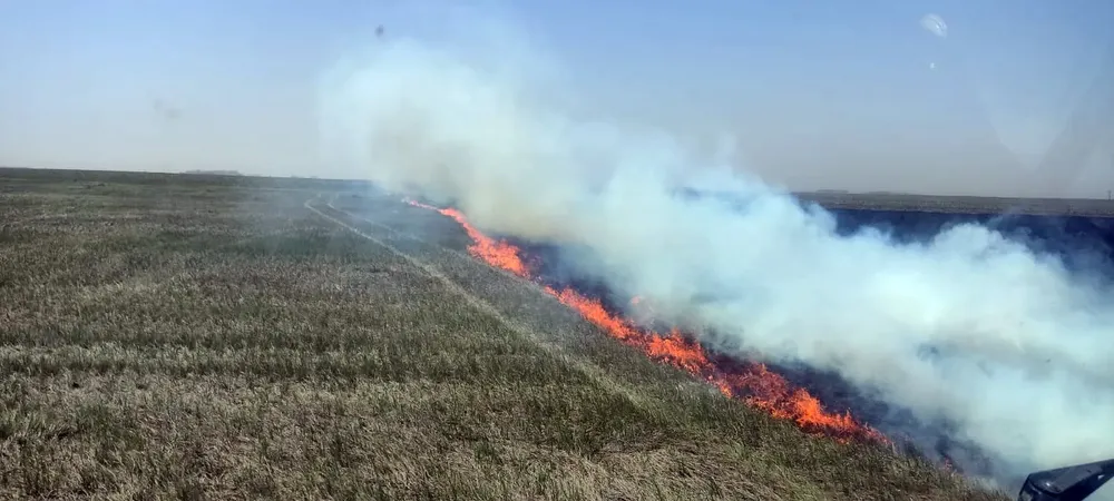 f781a882-bf30-4920-bbb1-145475443244