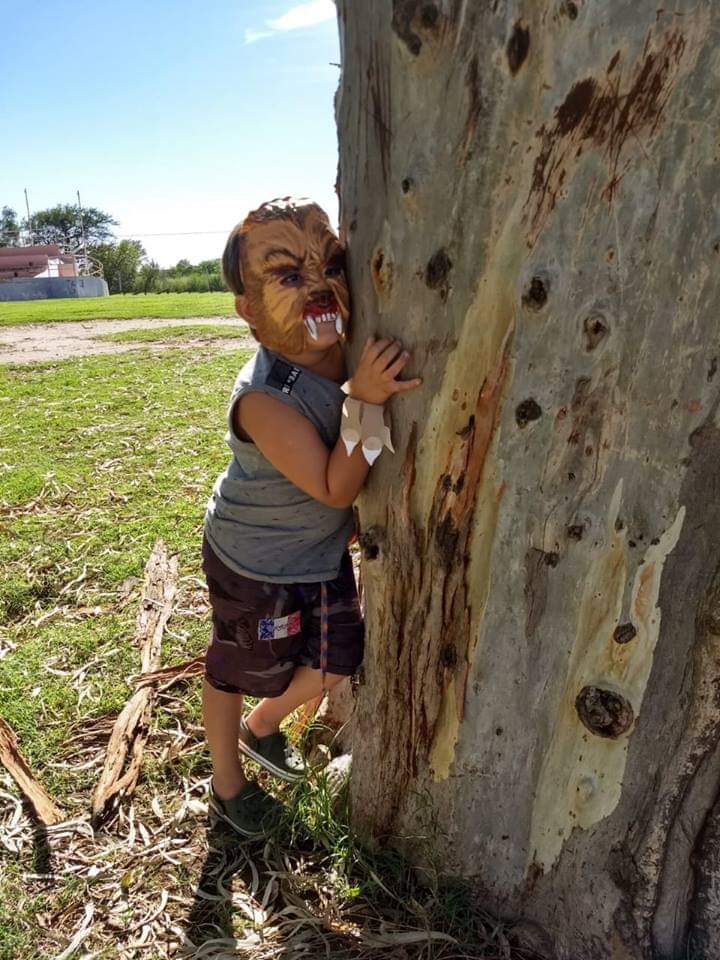 FB_IMG_1549154918806