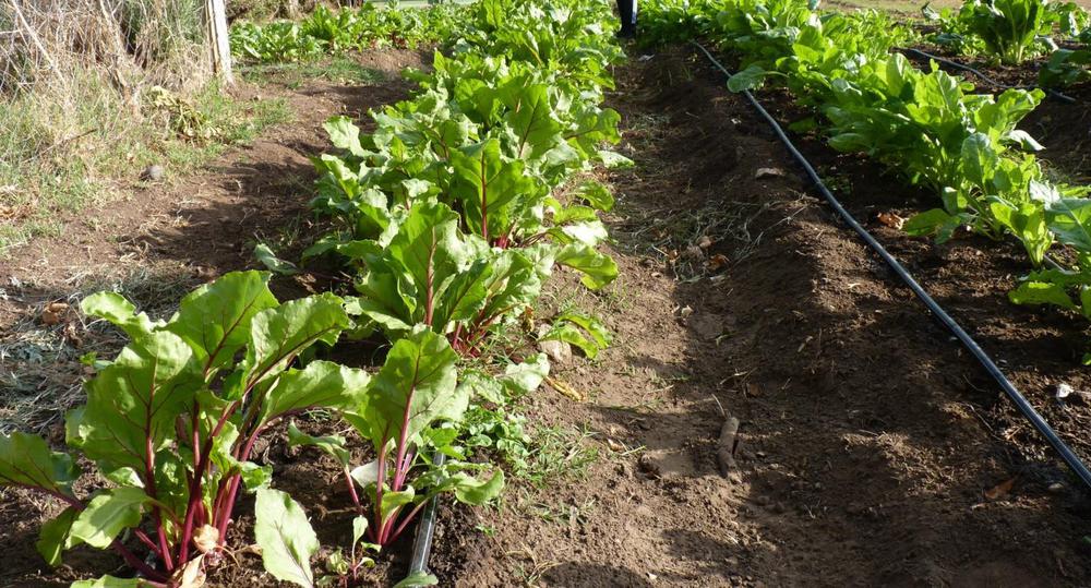 P1080899 (FILEminimizer)