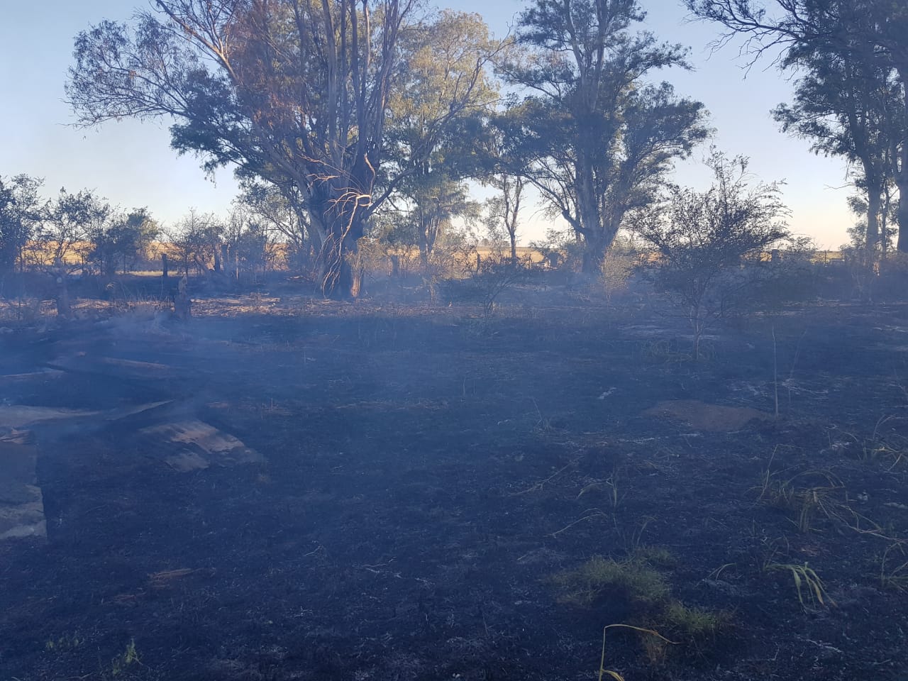 791d8b3d-8518-4b57-a61a-92a6a221c5d2