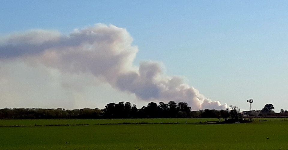 70132980_2675083212503334_8739710680115970048_n